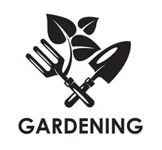 Zelená stena - dizajnové riešenia